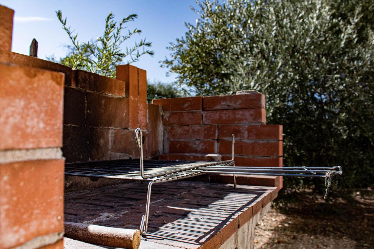 Corte Dell'Ulivo San Giuliano Terme Εξωτερικό φωτογραφία