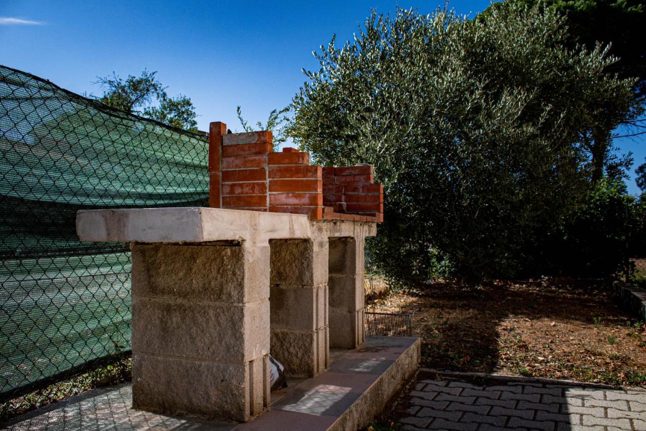 Corte Dell'Ulivo San Giuliano Terme Εξωτερικό φωτογραφία